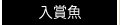 入賞魚