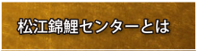 松江錦鯉センターとは